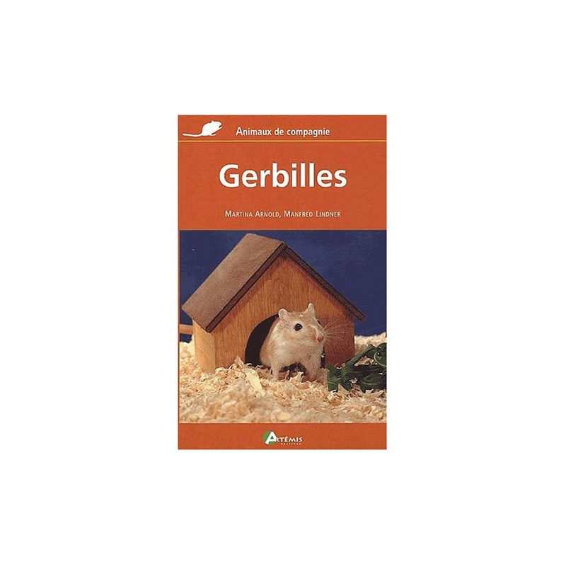 Gerbilles Gerbilles