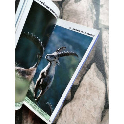 Images Doc N.8 - Aout 1989