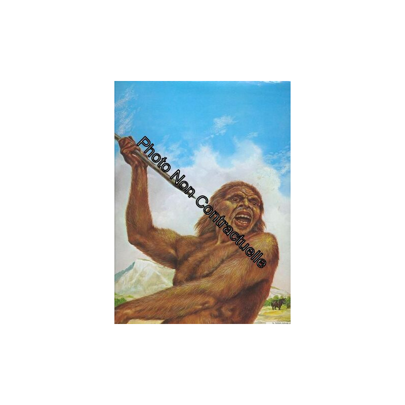 L'homme Dans La Prehistoire
