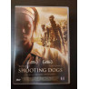 Shooting dogs