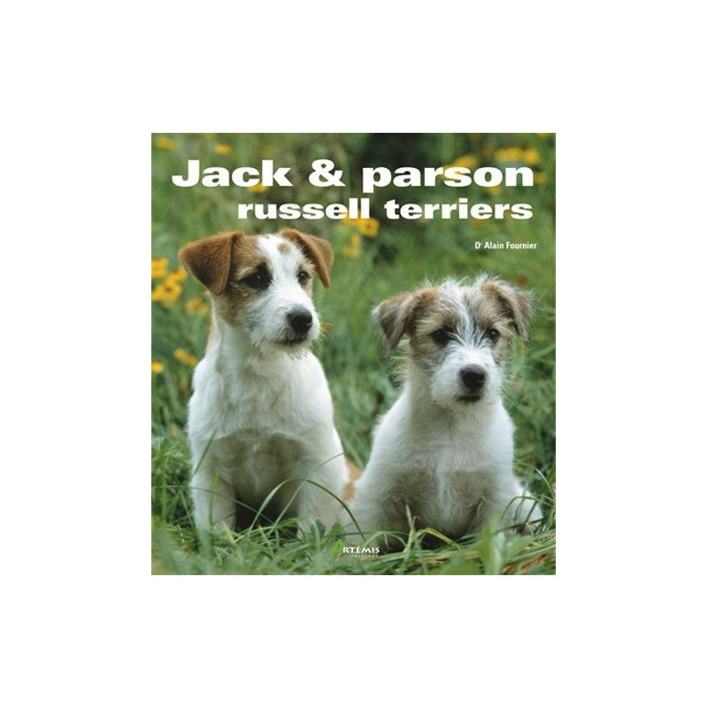 Jack et Parson russell terrier