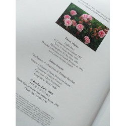 Les roses anglaises
