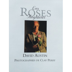 Les roses anglaises