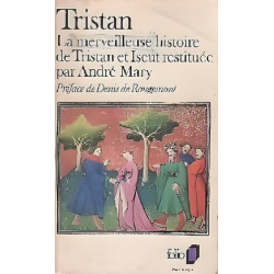 Tristan La Merveilleuse Histoire de Tristan et Iseut