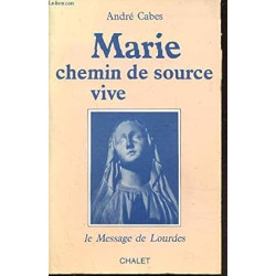 Marie chemin de source vive : le message de lourdes