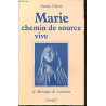 Marie chemin de source vive : le message de lourdes