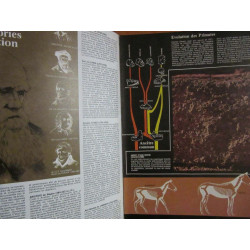 Encyclopedie des Animaux Les Animaux de A à z Alberto