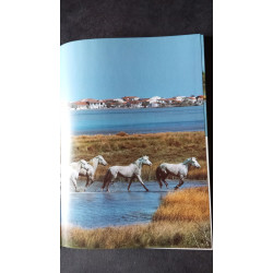 La Camargue