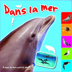 Dans la mer