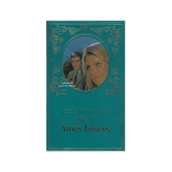 Ames brisées