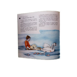 Pascal au pays des Elfes