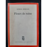 Fleurs de ruine