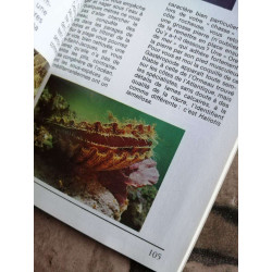 Au bord de la mer (L'Aventure de la nature) [Broché] by Duflos Solange