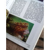 Au bord de la mer (L'Aventure de la nature) [Broché] by Duflos Solange