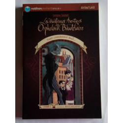 snicket Les Desastreuses Aventures Des Orphelins - Tout commence mal