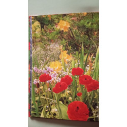 Les plantes vivaces