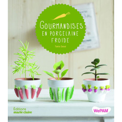 Gourmandises en porcelaine froide