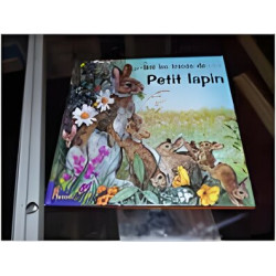 Petit lapin