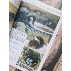 Aviornis international 1999 nº 147