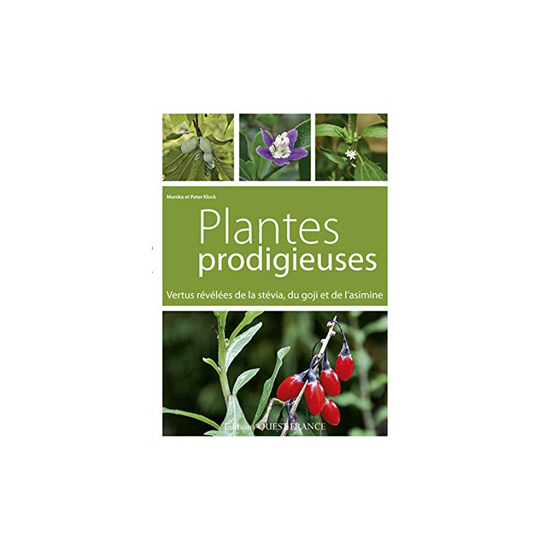 Plantes prodigieuses : Vertus révélées de la stévia du goji et de... Plantes prodigieuses : Vertus révélées de la stévia du goji et de...