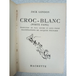 Croc Blanc