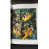 Terra sauvage portifolio nº 3