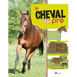 Le cheval au pré