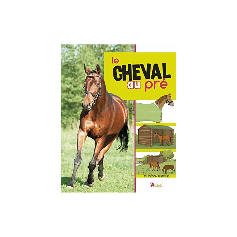 Le cheval au pré