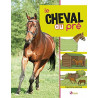 Le cheval au pré