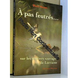 A pas feutrés sur les sentiers sauvages de Lorraine