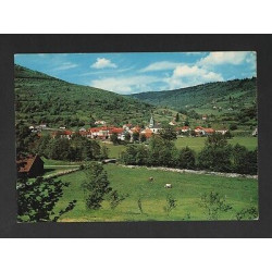 Grande CPM VENTRON Vosges 88 Ermitage Frère Joseph