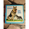 Animaux avec leur petits (Articles Annule)