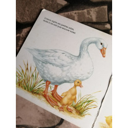 Animaux avec leur petits (Articles Annule)
