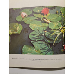 Encyclopédie de la vie sauvage