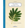 Mon Herbier des feuilles d'arbres...Des parcs et des jardins