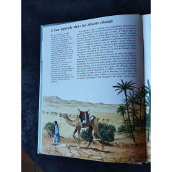 Les hommes et leurs paysages les campagnes