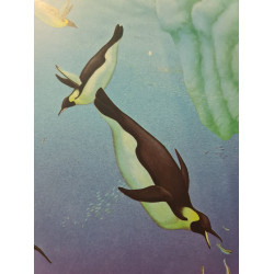 Le manchot empereur (Animaux Copains)