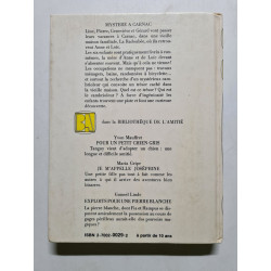 Mystère à Carnac
