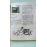 L'encyclopédie par le timbre LES CHIENS