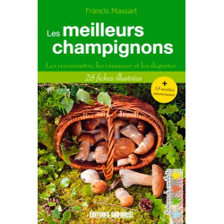 MEILLEURS CHAMPIGNONS (N.ED.): Les reconnaître les ramasser et les...