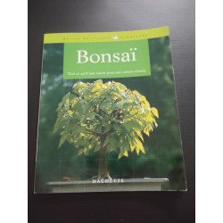 Bonsaï d'intérieur: Pour une culture réussie