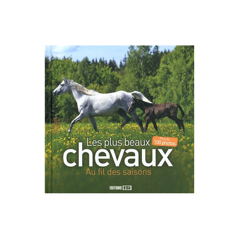 Les plus beaux chevaux : Au fil des saisons