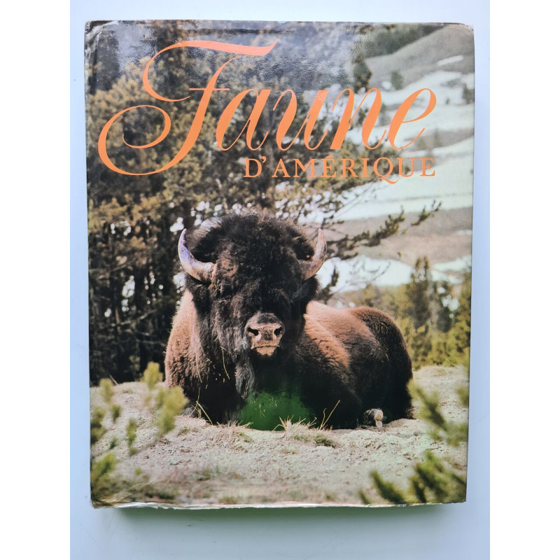 Faune d'amerique