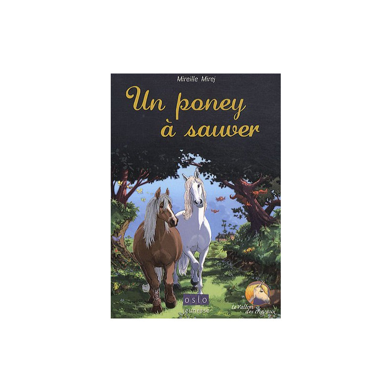 Le Vallon des chevaux - Tome 2: Un poney à sauver