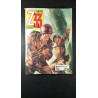 Z33 n°79