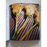 La cuisine des fées ou comment faire des merveilles sans être...