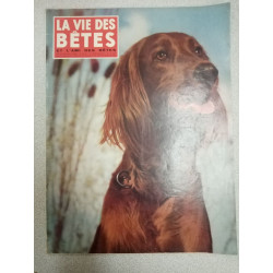 La vie des Bêtes nº 41 / Déembre 1961