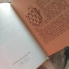 Contes et légendes de Bretagne