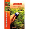 Les Algues: Lutte et culture