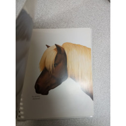 Le cheval